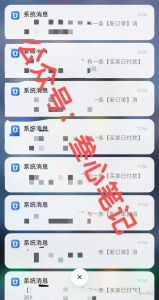 图片[2]-我做的这个很low的烂大街的项目，一天2000多！-叁心笔记