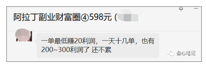 图片[1]-再说说这个新人也能一天两三百的项目！-叁心笔记