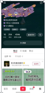 图片[5]-塔罗命理项目应该怎么做？-叁心笔记
