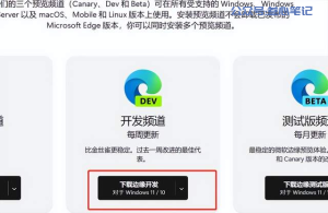 叁心笔记-国内使用New Bing的教程