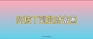 叁心笔记:阿拉丁副业财富圈4群!-叁心笔记
