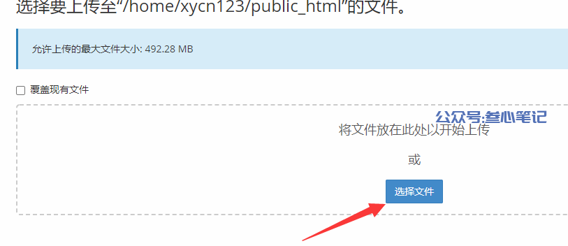 图片[14]-老薛虚拟主机建站保姆级教程！-叁心笔记