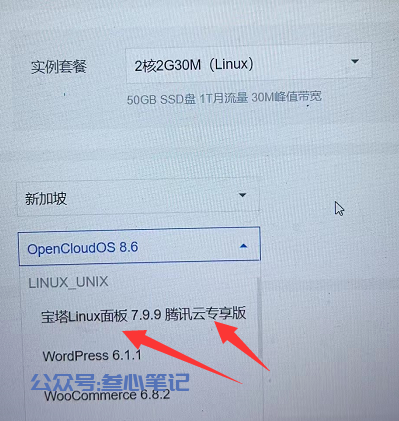 图片[3]-海外服务器购买以及宝塔安装建站方法！-叁心笔记