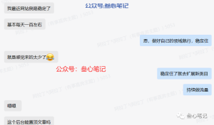 网站全自动成交项目,每天躺赚100+-叁心笔记