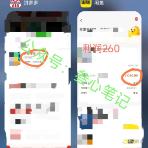 我去年用一天时间跑成功的项目,今年又开始出单,一单利润100-500,上教程!-叁心笔记
