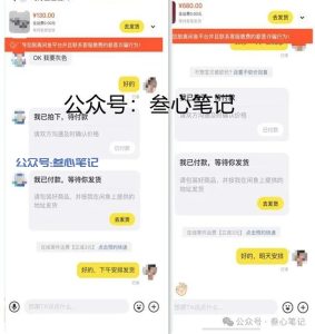 这个项目又跑成功了, 很稳!-叁心笔记