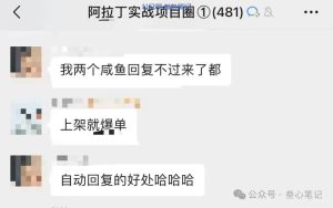 超时效,两天干了3000块!-叁心笔记