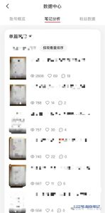 小红书流量怎么样?-叁心笔记