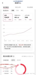 持续不停的做小红书SEO流量!-叁心笔记