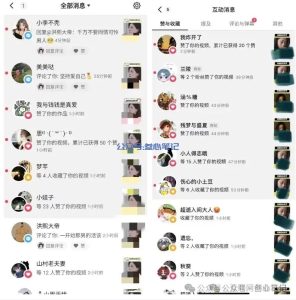 最近跑成功的两个项目!-叁心笔记