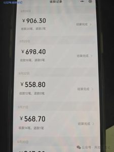 昨日收益906元,放下面子,好好挣钱!-叁心笔记