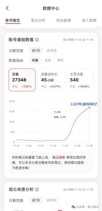 一个人,一根网线,日入2000块!-叁心笔记