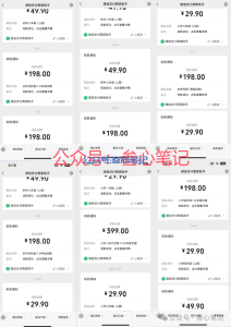 一单198,持续稳定爆流爆单!-叁心笔记