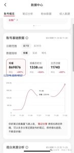 小红书这样做,一天收益3000块!-叁心笔记